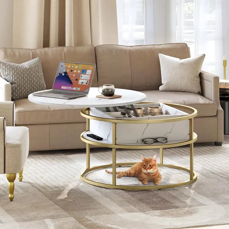 Round Lift Top Coffee Table with Hidden Storage and Open Shelf, Multi-Color
