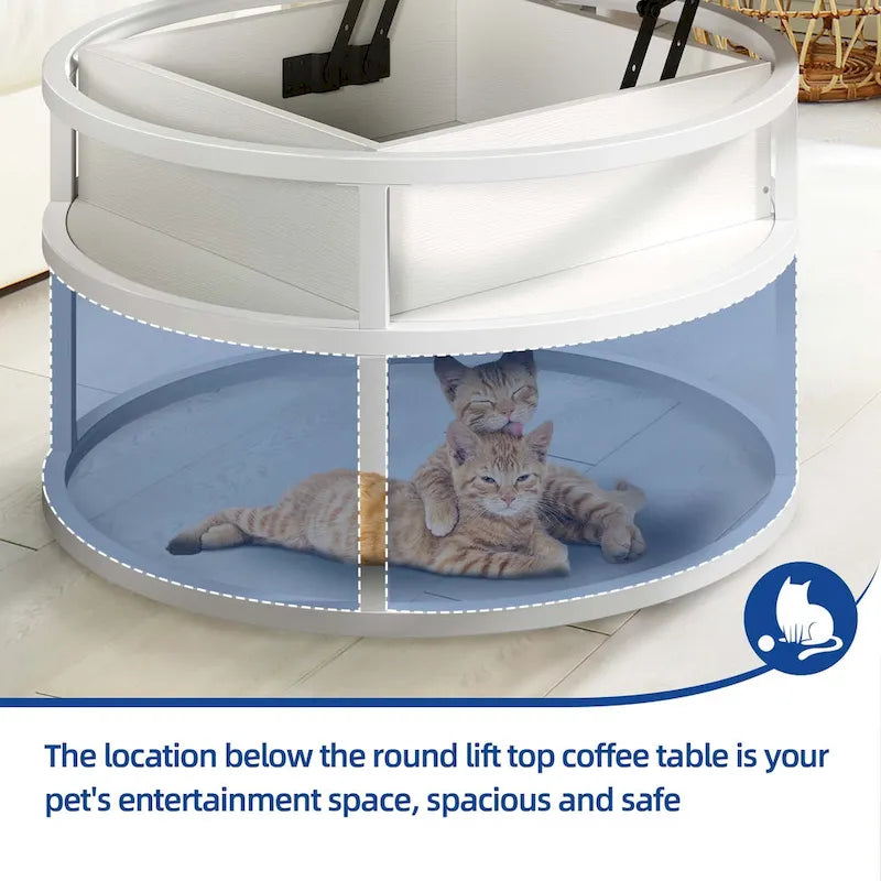 Round Lift Top Coffee Table with Hidden Storage and Open Shelf, Multi-Color
